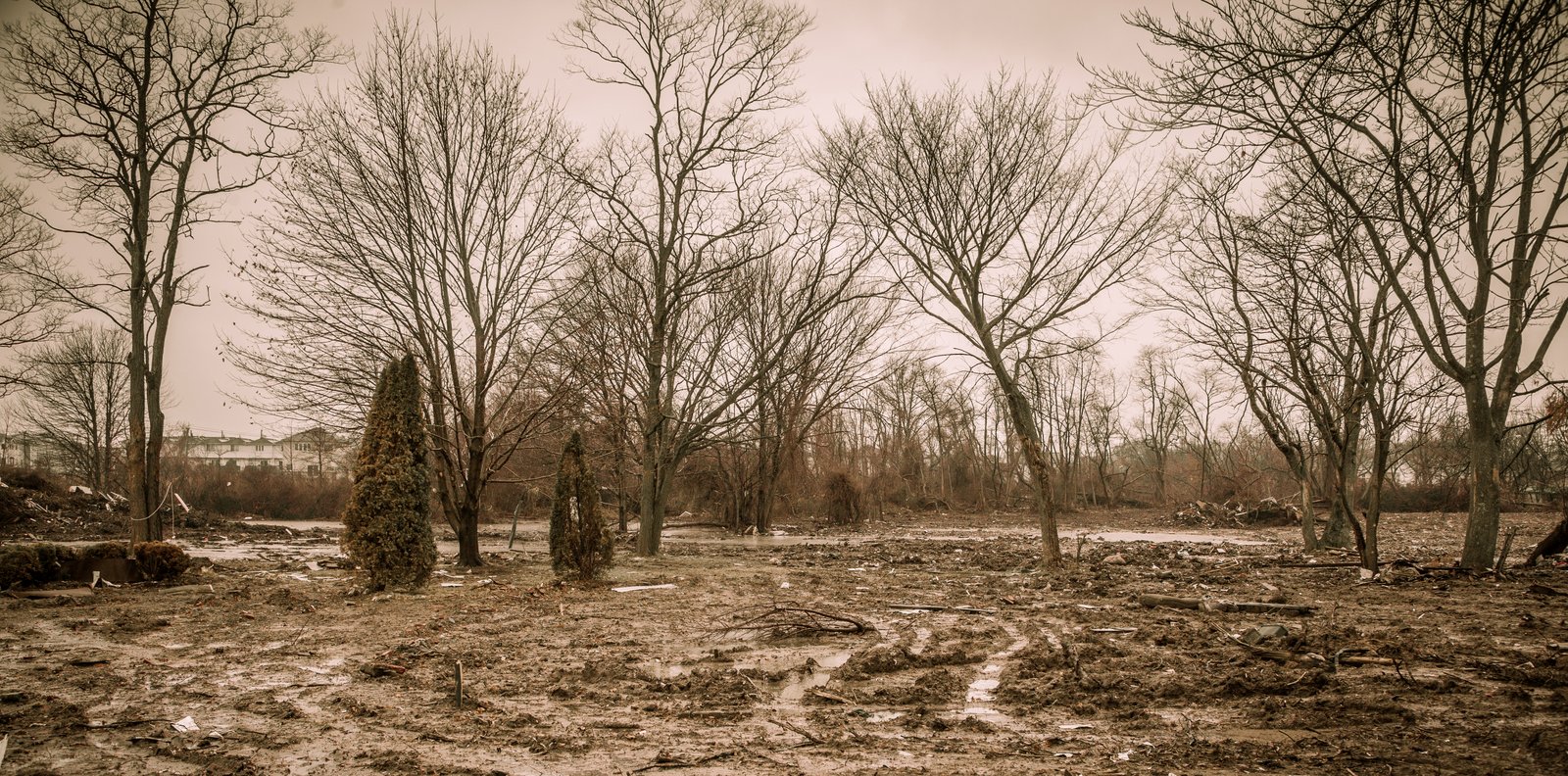 art-of-sandy-mo-staten island 2-21.jpg